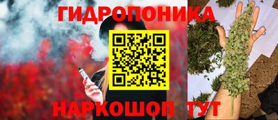 гидра Славянск-на-Кубани