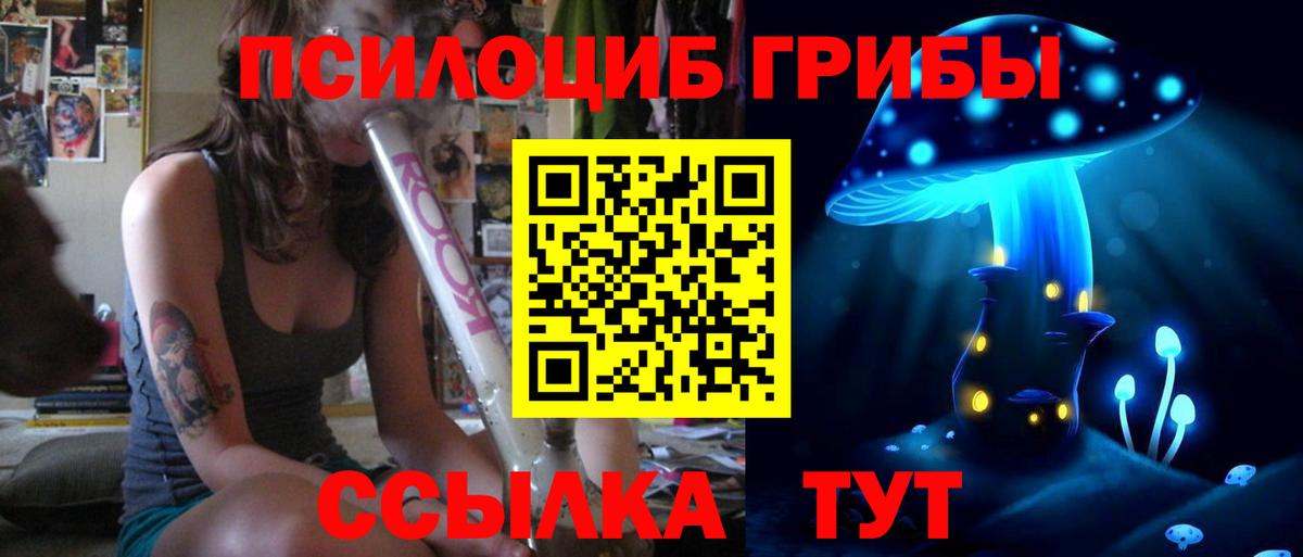 Псилоцибиновые грибы Psilocybine cubensis Сергиев Посад